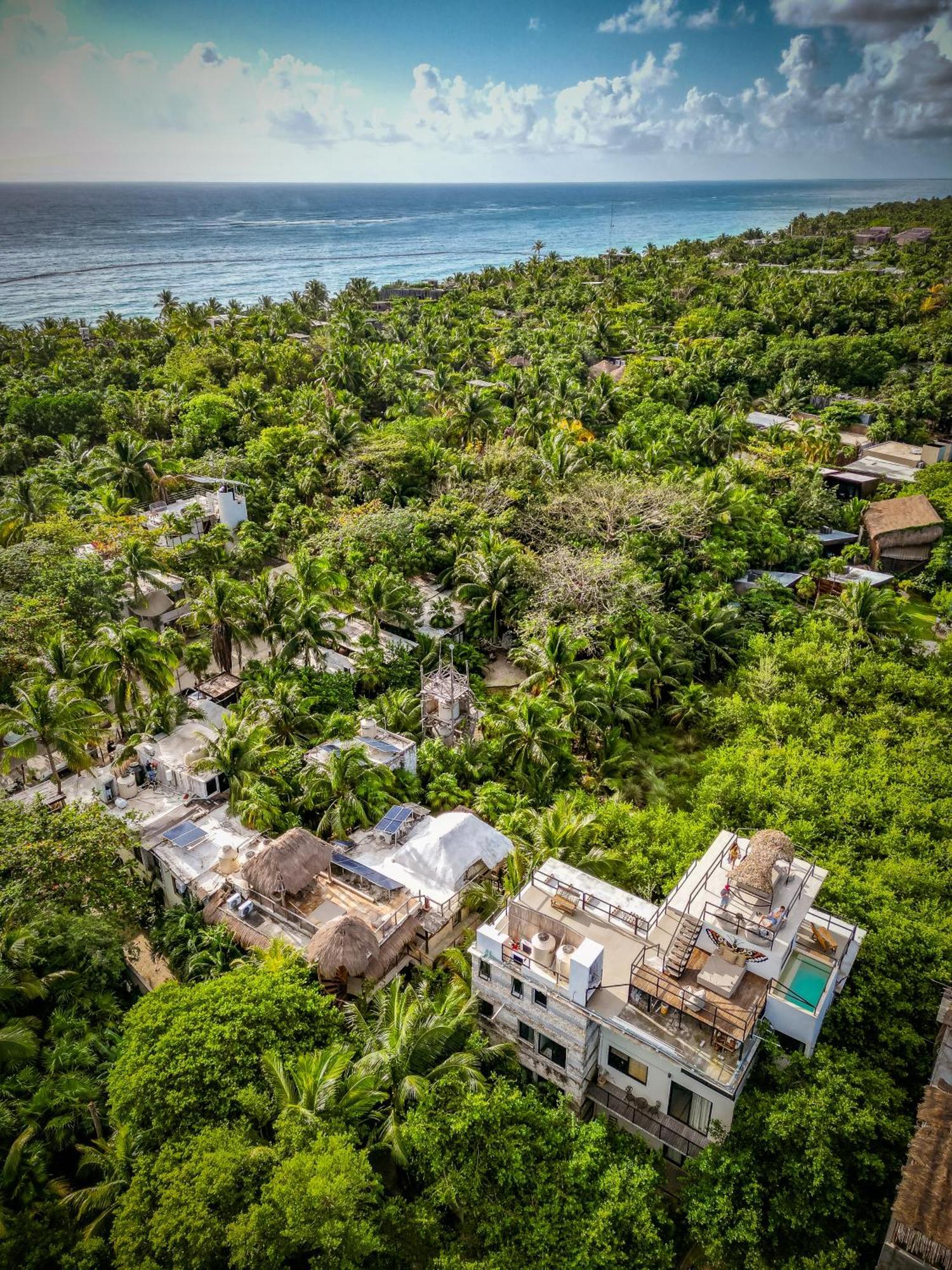 Suites Tulum (Adults Only) المظهر الخارجي الصورة